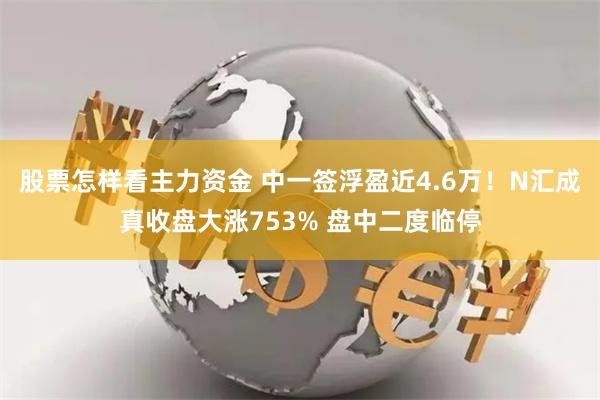 股票怎样看主力资金 中一签浮盈近4.6万！N汇成真收盘大涨753% 盘中二度临停